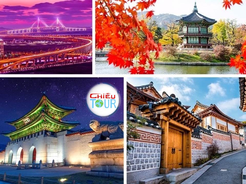 tour du lịch Hàn Quốc khởi hành từ Cà Mau