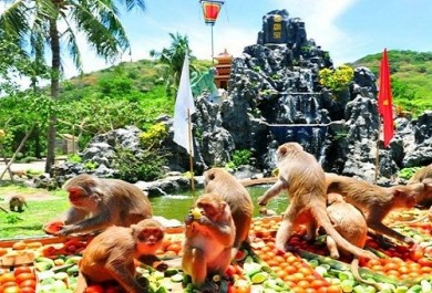Du Lịch Đảo Khỉ Tại Nha Trang