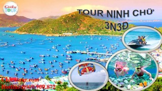 Tour Ninh Chữ khởi hành từ Tiền Giang giá rẻ